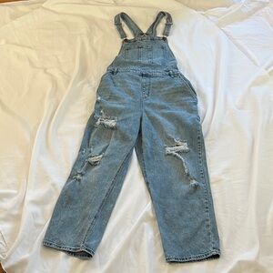 Wild Fable Blue Distressed Women Jeans Overalls